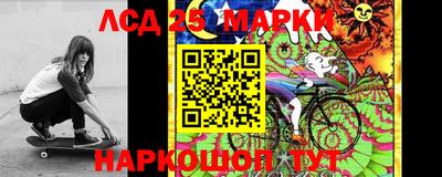 Альфа ПВП Заволжье
